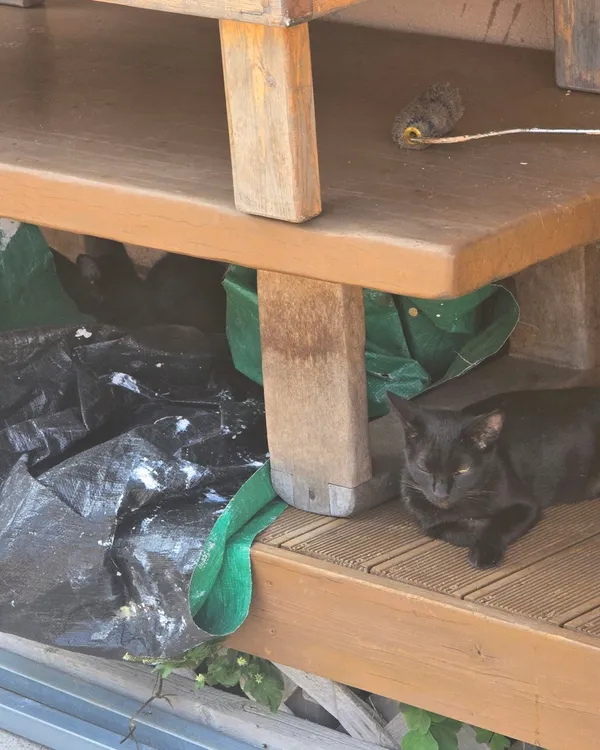 대동반점 사진 5