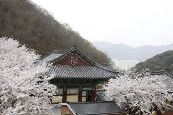 소원사 사진 3