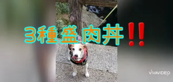 Hidamarian Honten 사진 2