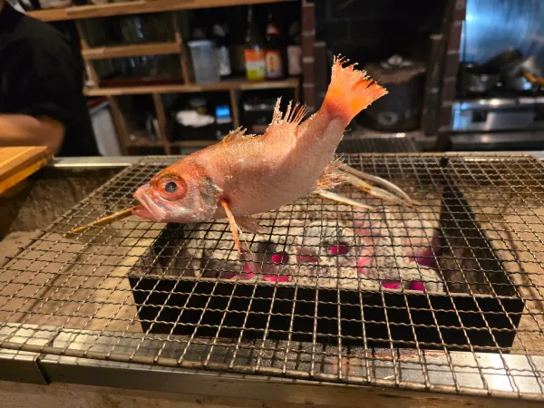 나가라쿠 사진 5