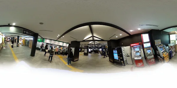 기온시조 사진 2