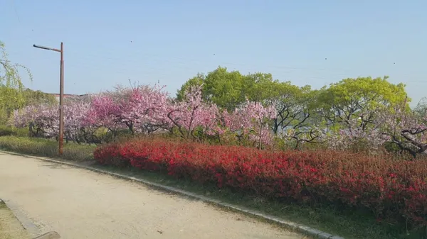 선유도공원 사진 2