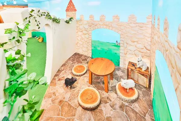 Minipig Cafe 사진 3