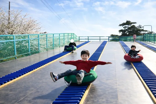 한국잠사플레이팜 한국잠사박물관 사진 3