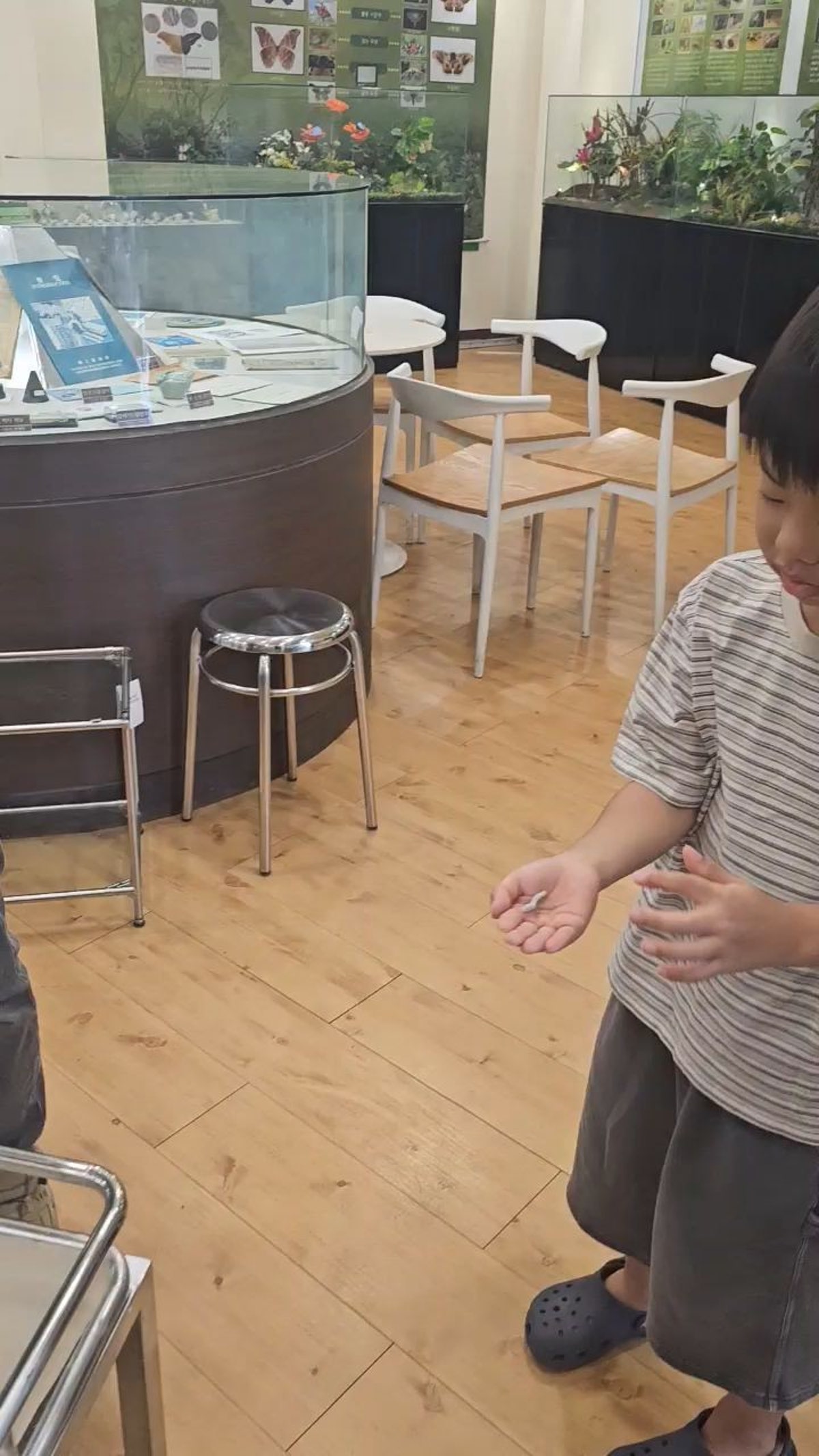 한국잠사플레이팜 한국잠사박물관 사진 5