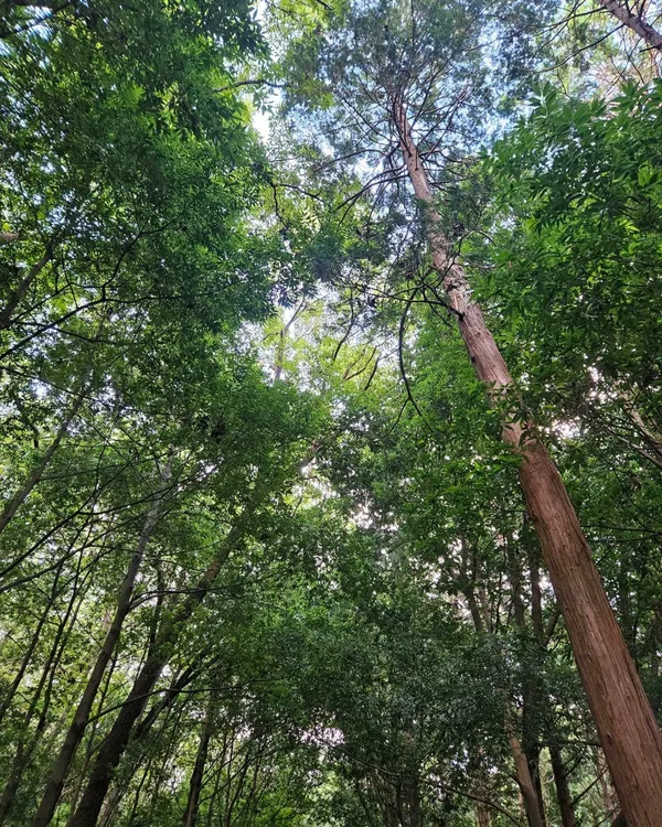 대신공원