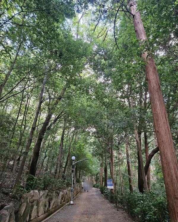 대신공원 사진 3