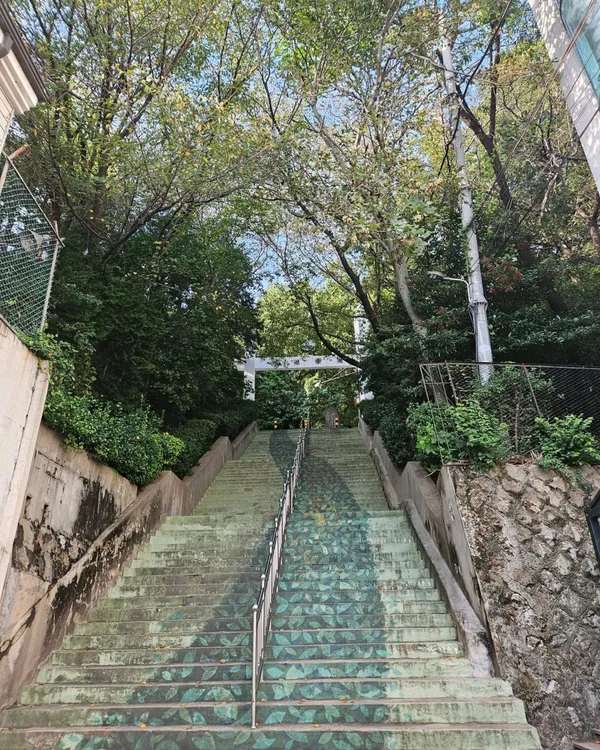 대신공원 사진 4