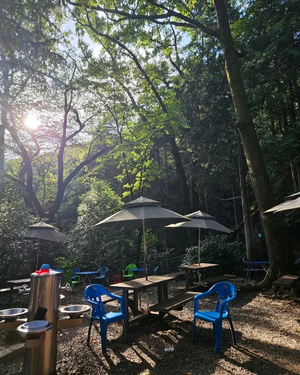 대신공원 사진 5