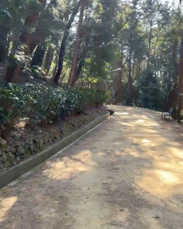 テシン公園の写真5