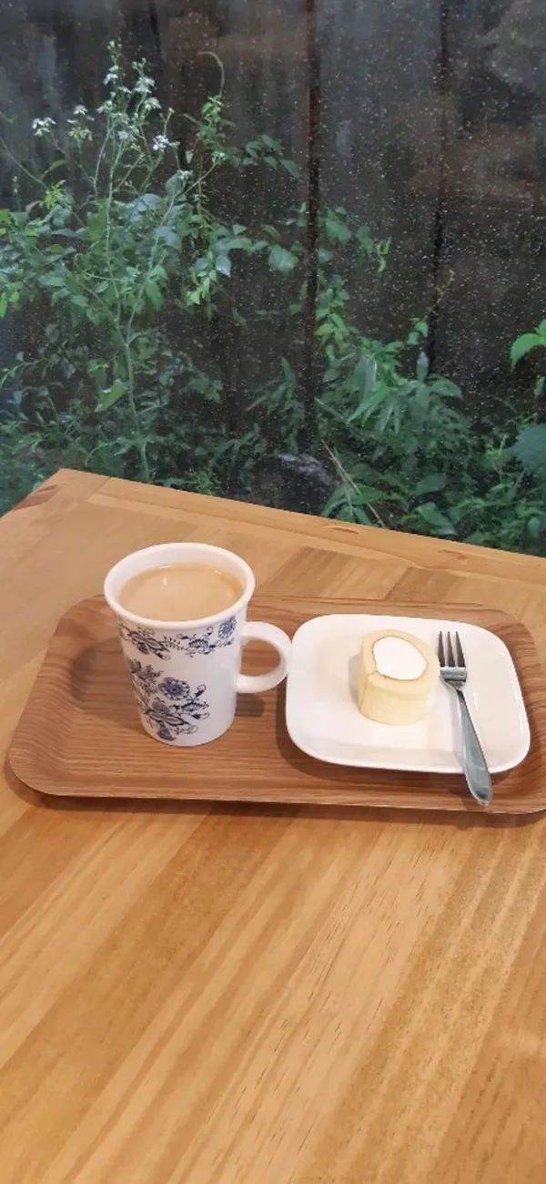 사적인 도서관
