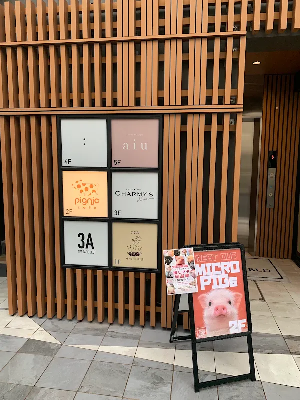 pignic cafe yoyogipark