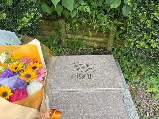 pignic cafe yoyogipark 사진 5