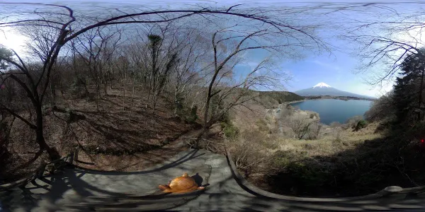 Lake Tanuki Observation Deck