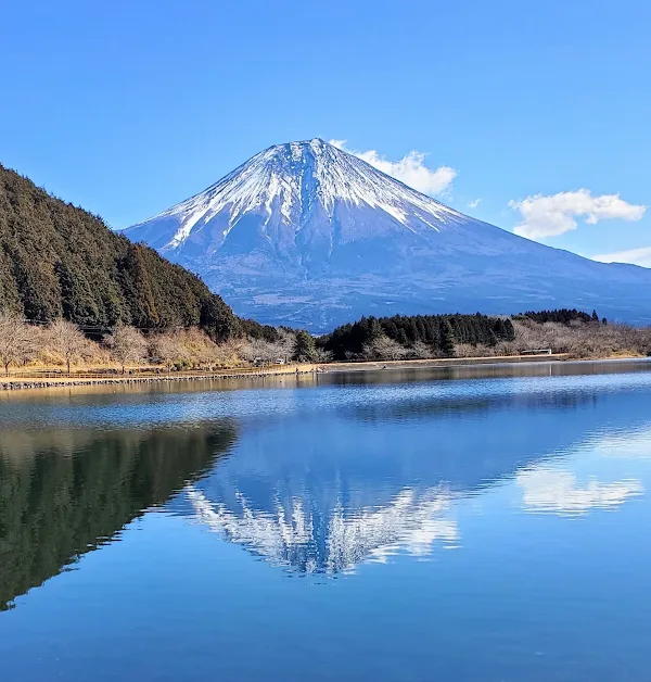 Lake Tanuki Observation Deck