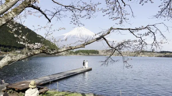 Lake Tanuki Observation Deck 사진 3