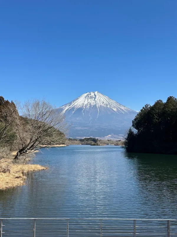 たぬき展望台の写真5