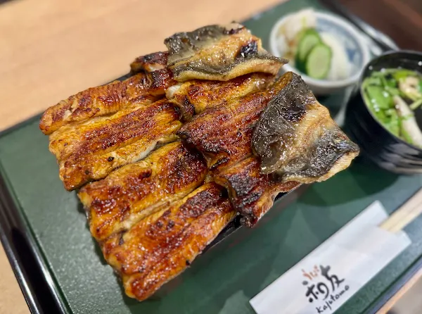 Eel Kazutomo 사진 5