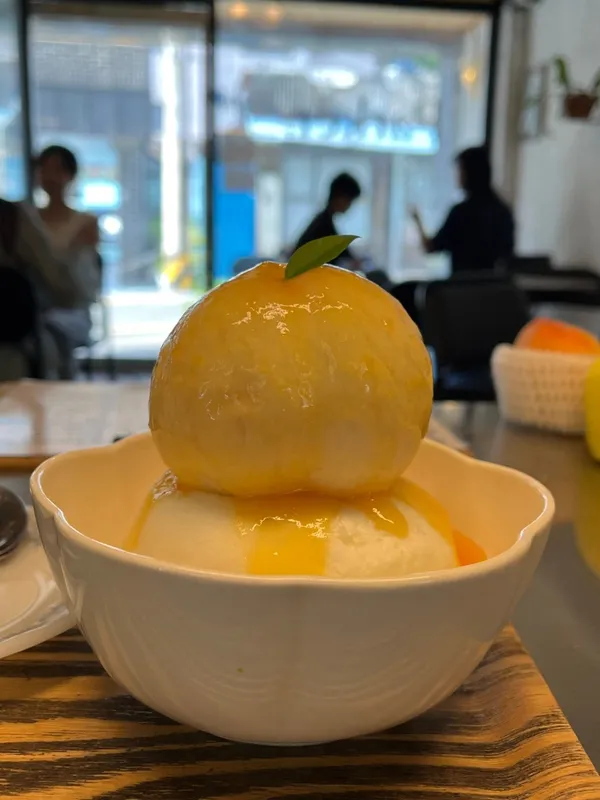 파커 사진 4