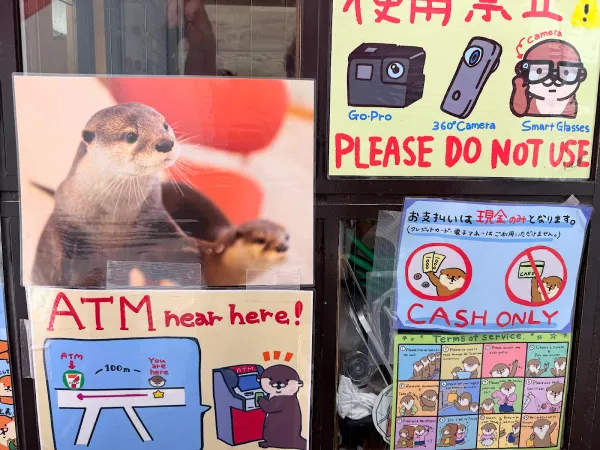 WAKABAYASHI カワウソ 사진 4