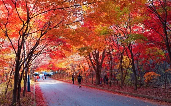 필례 게르마늄 온천 사진 2