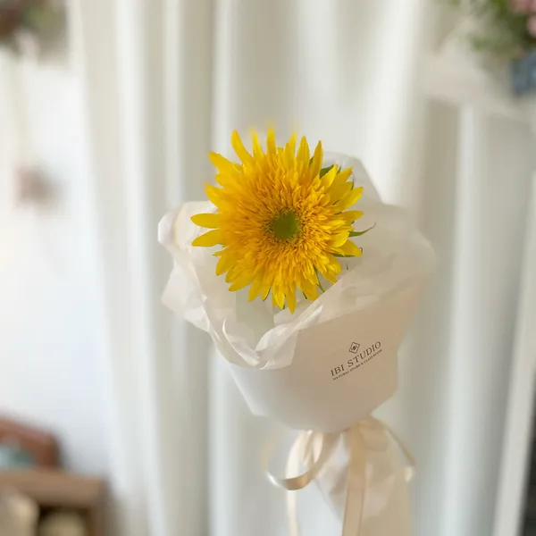 IBI STUDIO 사진 2