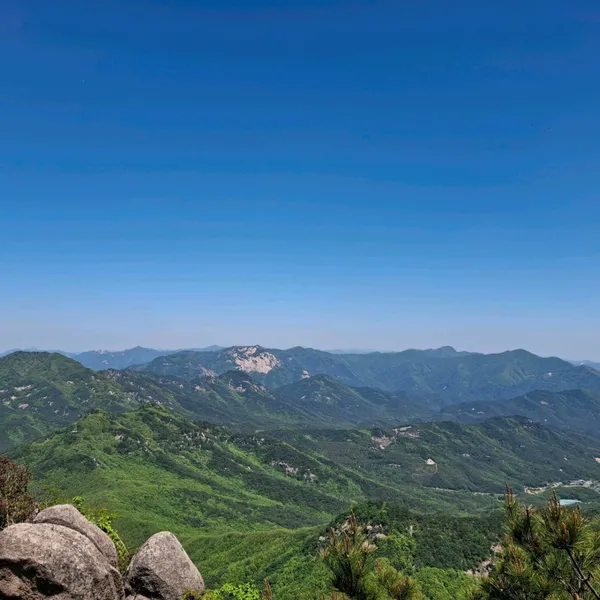 대야산 사진 3