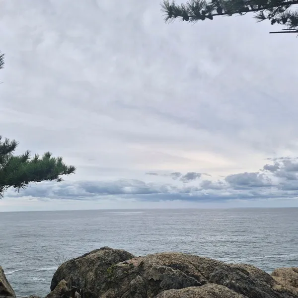 하조대 사진 2