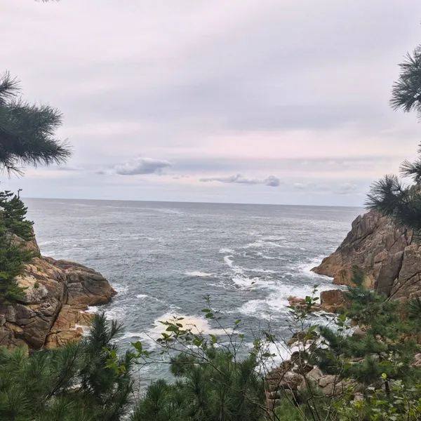 하조대 사진 5