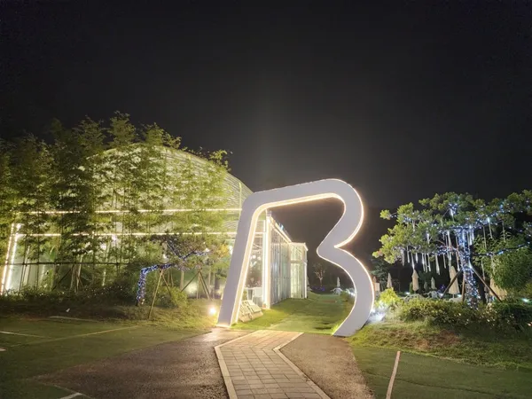 빌리 사진 2