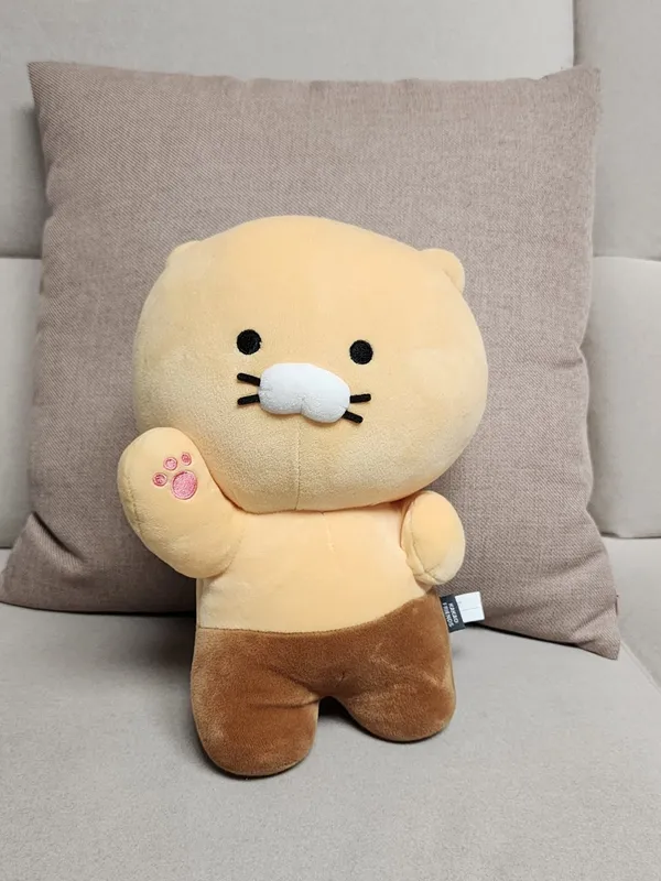 삐에드라 사진 5