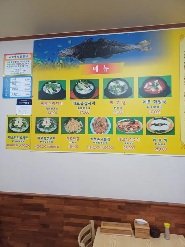 메로왕 사진 4