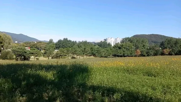 곤지암도자공원 사진 5
