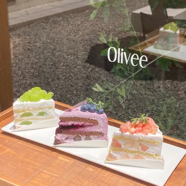 올리브 사진 5