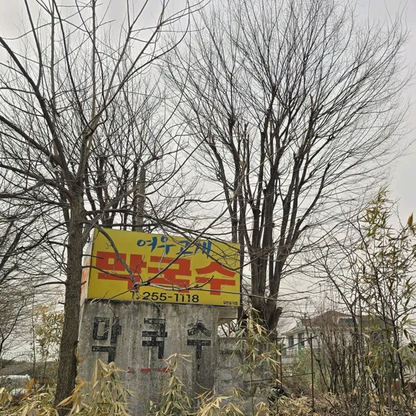 ヨウゴゲマッククスの写真5