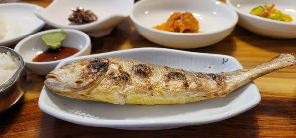길조 사진 5