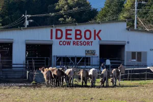 IDEBOKU