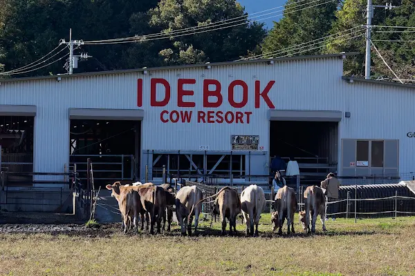 IDEBOKU 사진 2