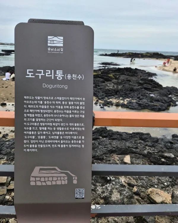 세화해수욕장 사진 4