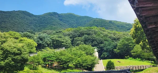 영화원 사진 5