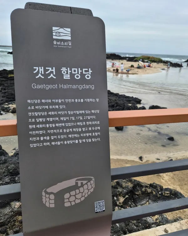 세화해수욕장 사진 5