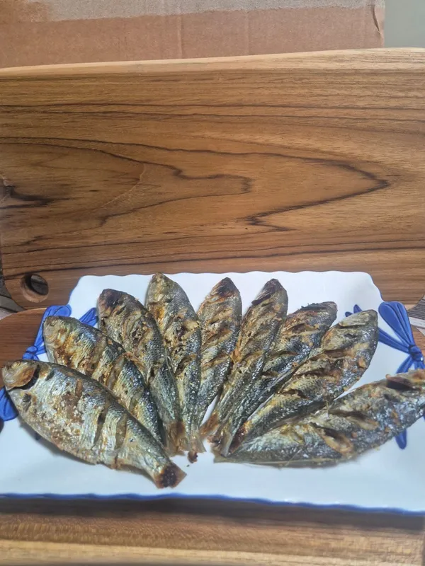 찡어야 사진 3