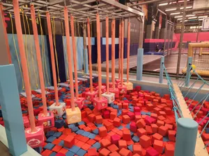 ポンポンフラワー ヨンインセンター