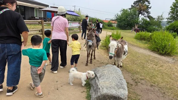 동키스타즈 사진 3