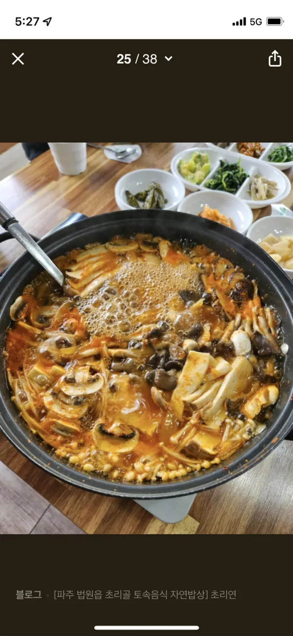 초리연 사진 3