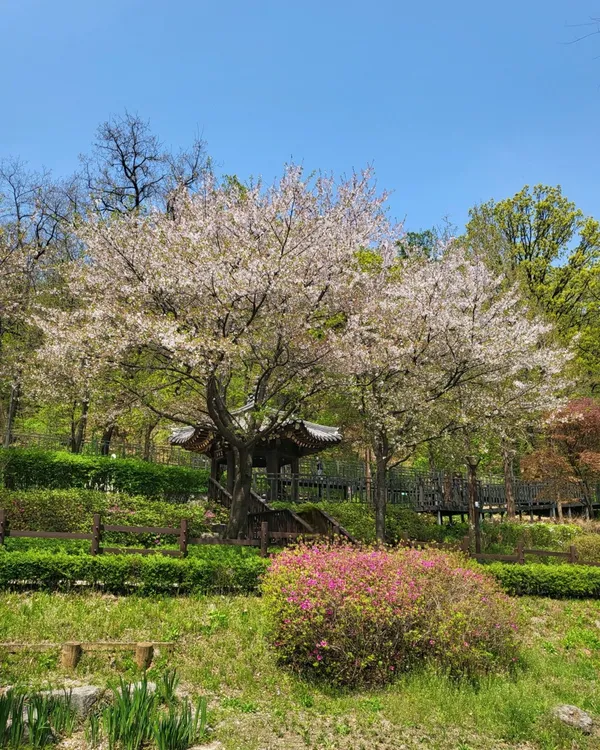매봉산 잣절공원 사진 2