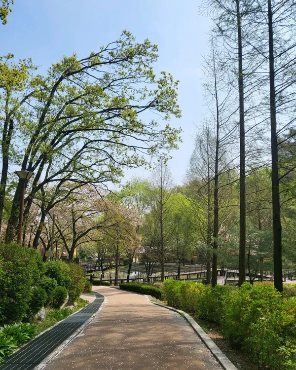 매봉산 잣절공원 사진 3