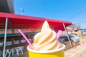 トンイルチョン ノンサンムル チクパンジャン シクタン