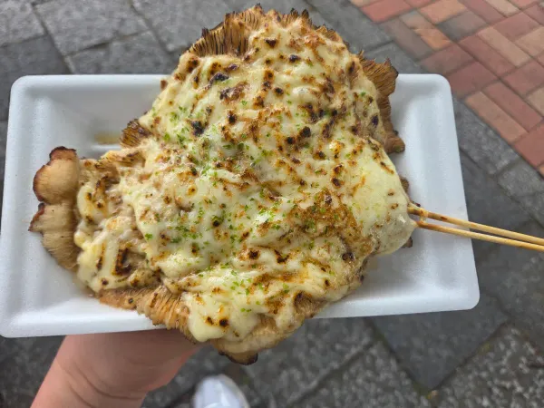 시이타케 몬스터 사진 3