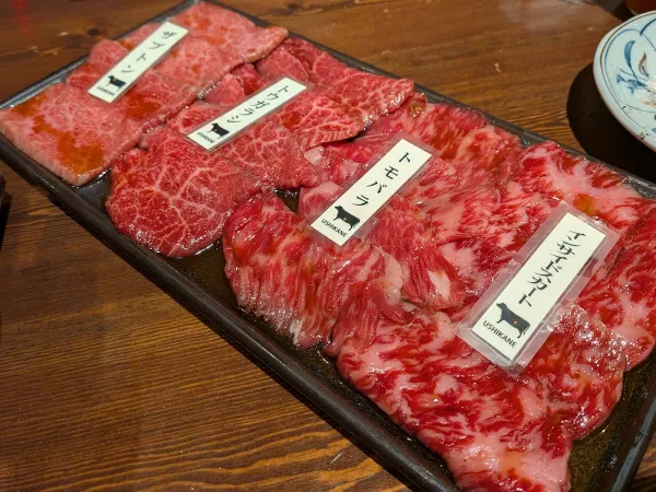우시카네 사진 3
